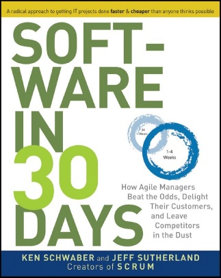 software-in-30-days.jpg